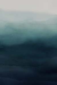 Trade Samples: Sample - Wash Wallpaper Reef