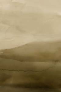 Sample - Wash Wallpaper Cigar