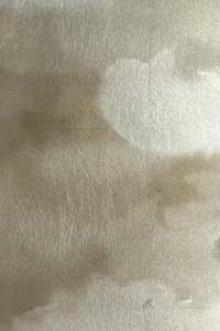 Fawn: Sample - Dispersion Wallpaper Champagne metallic