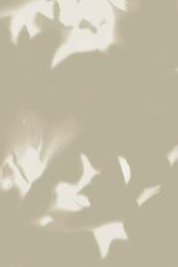 Trade Samples: Sample - Drift Wallpaper Wheat Brushed Metallic