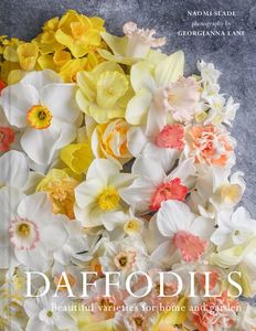 Flowers Floral: Daffodils - Naomi Slade