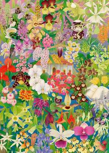Around the World in 50 Orchids - Kew Royal Botanic Gardens, Whooli Chen 1000pc