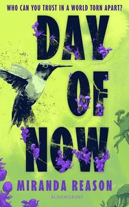 Young Adult Teen Fiction: Day of Now - Miranda Reason
