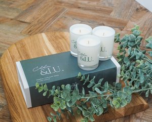 Eddie Lu Home Fragrances: Eddie & Lu Candle Trio Gift Pack