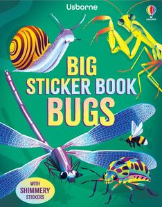 Sticker Colouring: Usborne Big Sticker Book - Bugs