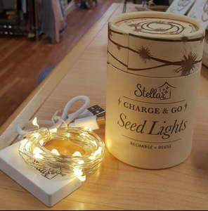 Seed Lights: Seed Lights - Charge & Go with USB -Silver