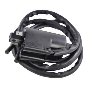 EXT IGN COIL ASSTD YAM MODELS  (RM06188) #RMS06188