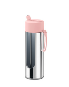 Frank Green Chrome Silver Ceramic Reusable Bottle with Blushed Flip Straw Lid 595ml (20oz)
