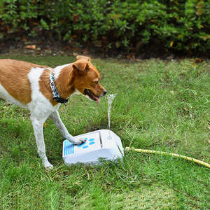 Outdoor Dog Water Splasher