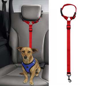 Affordable Pet Accessories: 2 in 1 Pet safety leash
