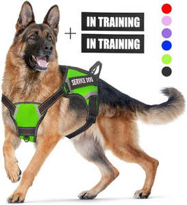 Affordable Pet Accessories: Personalized Pet Harness