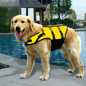 Affordable Pet Accessories: Dog Life Jackets