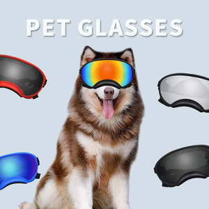 Affordable Pet Accessories: Dog Wind Protection Goggles