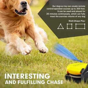 Affordable Pet Accessories: Pet Chase Toys Home Training Supplies