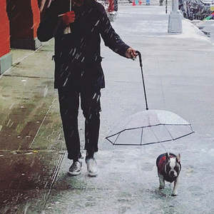 Transparent Pet Umbrella For Dog