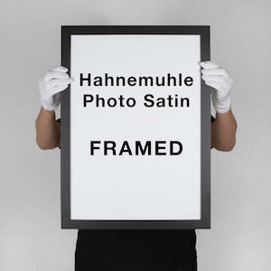 Hahnemuhle Photo Satin | FRAMED