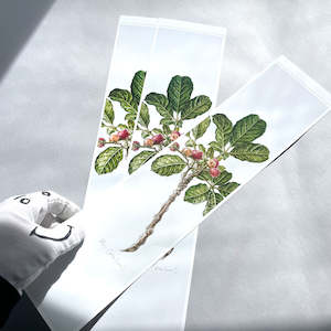 Art Papers: Test Strip