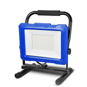 Jobsite Lighting: Raptor Ray Sentinel 50 Work Light 230V