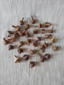 Spinning Top - Engrain