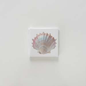 New Arrivals 1: Shell Memo Pad