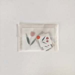 Clearance Sale: Tulip Mix Pack