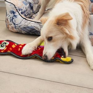 Soft Toys: Xtreme Seamz Snake