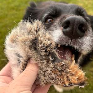 Toys: Rabbit fur offcut