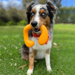 All: Creative Play C-Shuu