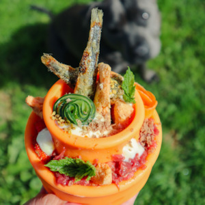 Mats And Trays: Messy Mutts - Puzzle n Play Mushroom