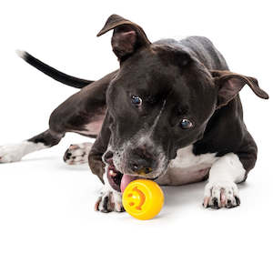 Food Toys: Planet Dog - Nook