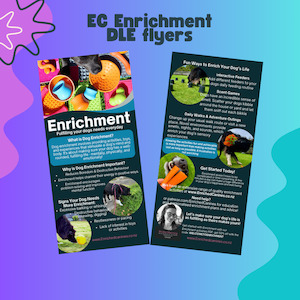 Digital Downloads And Books: Enrichment - DLE flyers