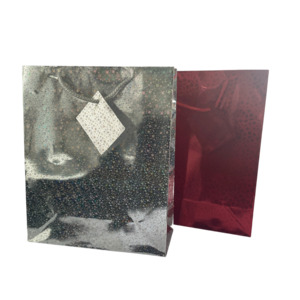 Medium Gift Bag - Holographic 24x10x29cm
