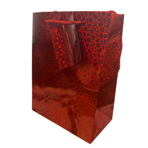 Xmas: Small Gift Bag - Holographic 18x10x23cm