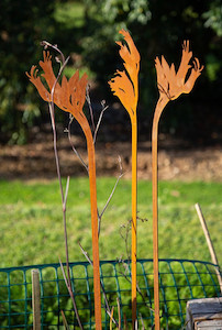 Products: Harakeke Flax flowers set of 3 Epic Aotearoa