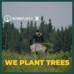 One Tree Planted: Tree to be Planted