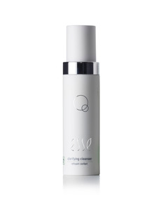 Cleansers: Clarifying Cleanser