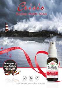 Products: Crisis Support Epiphany Accounting