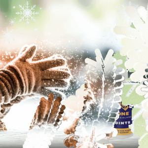 Frontpage: ❄️ WINTER WONDER PACK – 25% OFF ❄️