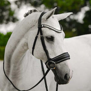 BRIDLE: Diva bridle (cavesson)