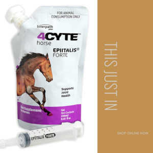 Supplements: 4Cyte Gel