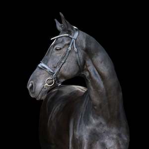 Horseware Bridal: Lumiere Alison Bridle (Cavesson) Black