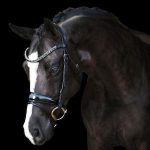 Horseware Bridal: The Lumiere Audrey Bridle