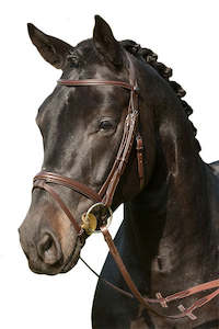 Horseware Bridal: Stubben BRIDLE 2017C