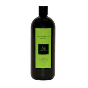 Show Ring: JUDGES CHOICE BRILLANT SHINE SHAMPOO