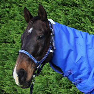 Halters Leads: PESSOA PLAID PADDED HALTER