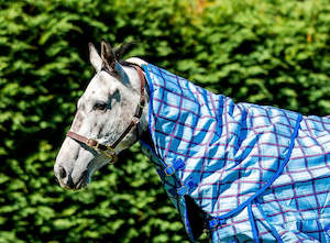 Flair: FLAIR WANAKA LIGHT NECK RUG