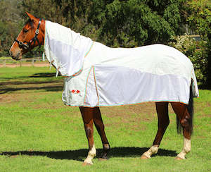 Brand Zilco: Zilco Econo Hybrid  Cotton Sheet