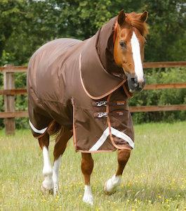 Products: Titan 300g Turnout Rug with Snug-fit neck cover – Equestrio Style
