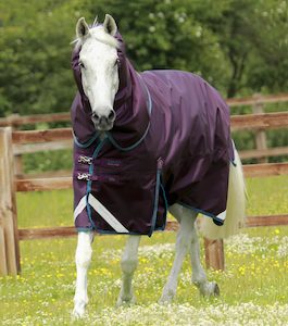 Products: Titan 200g Turnout Rug with Snug-fit neck cover – Equestrio Style