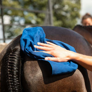 Smart Grooming: Suede Feel Cloth
